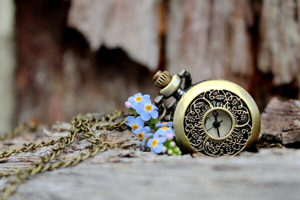 Petites fleurs bleues . L amour dans le beau, bokeh