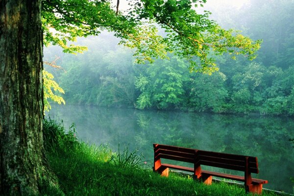 Banc sur berugu étang dans le parc