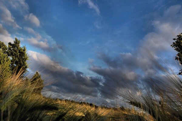 Clouds in the blue sky. Field