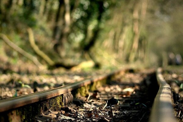 La via del ferro verso una distanza inesplorata