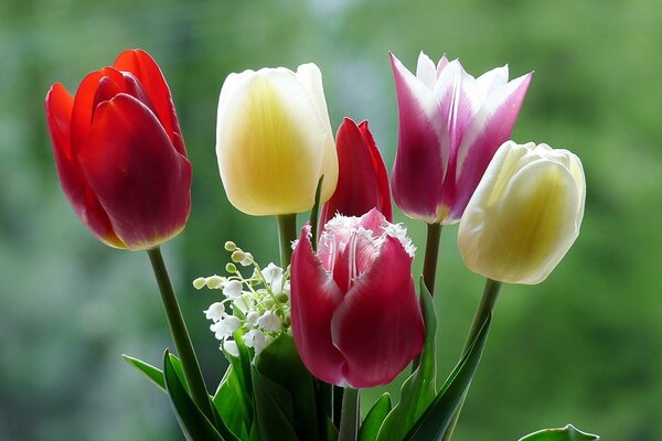 Bouquet di fiori primaverili di tulipani