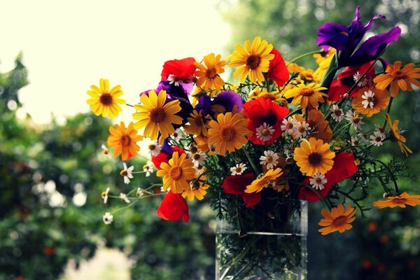 Colorful summer bouquet in a vase