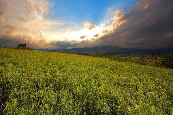 An impending thunderstorm over a green field