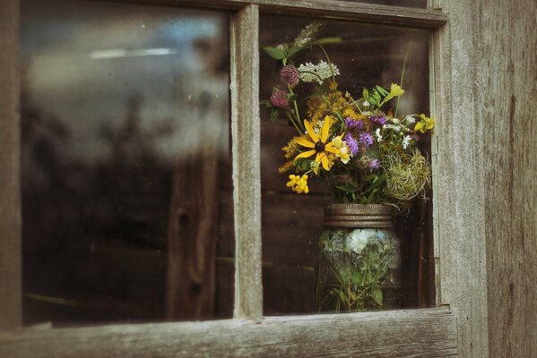 Blumen auf Fenster Hintergrund