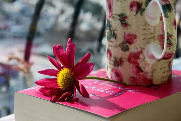 Rosa Blume und Tasse auf dem Buch