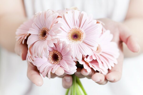 Dar a las niñas ternura y flores