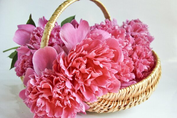 Bouquet de pivoines dans un panier de paille