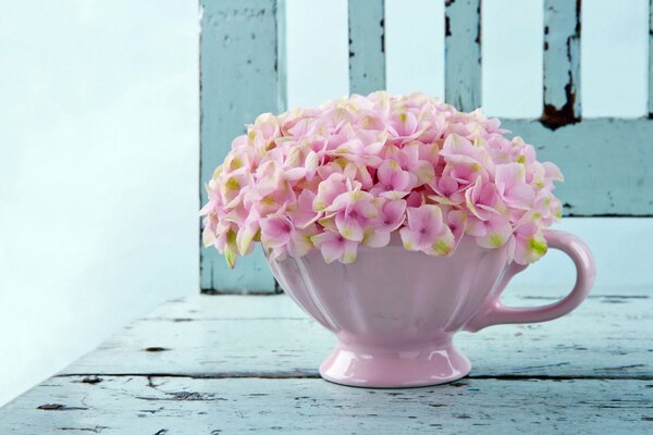 The vase cup is pink on a blue background