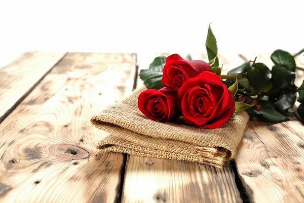 Rosas olvidadas con su amor