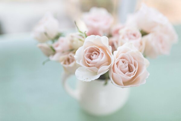 Pink roses in a white vase