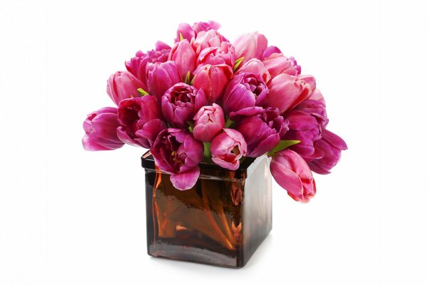 Bouquet de Tulipes roses dans un vase