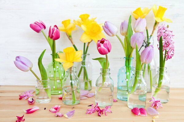 Narcisos y tulipanes en una botella es un símbolo de la primavera y el buen humor