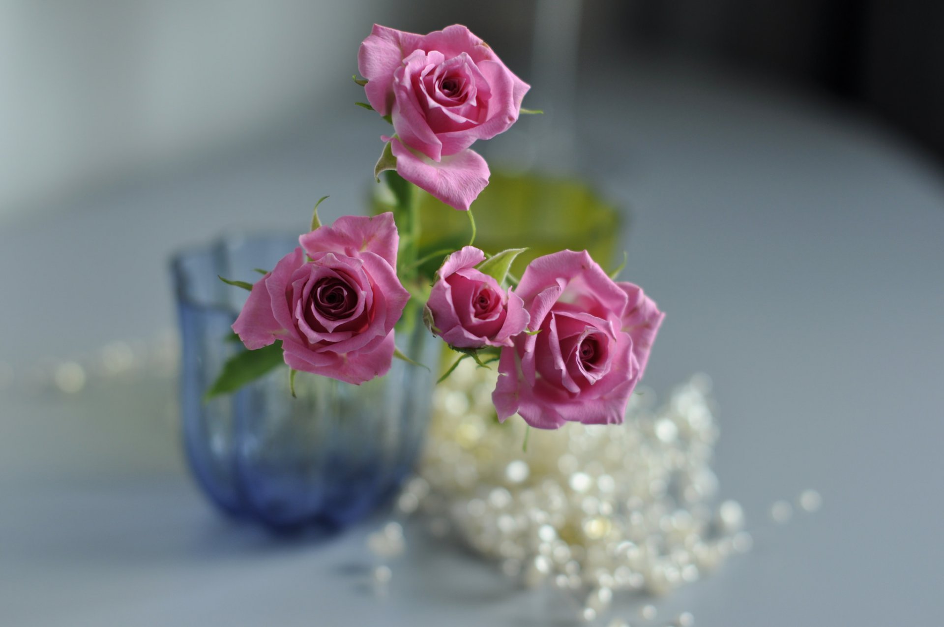 vase flower roses pink