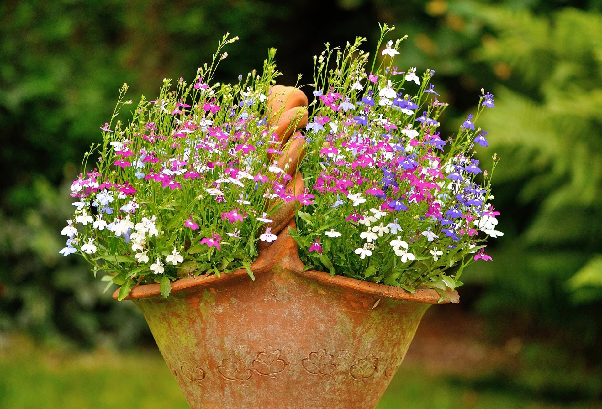 maceta cesta cama de flores