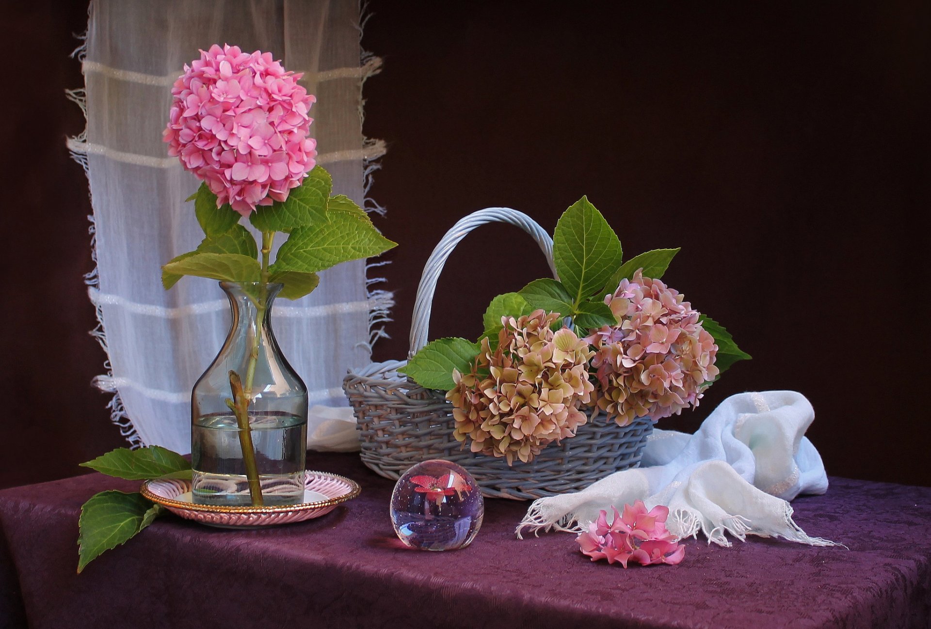 hortensie korb stillleben