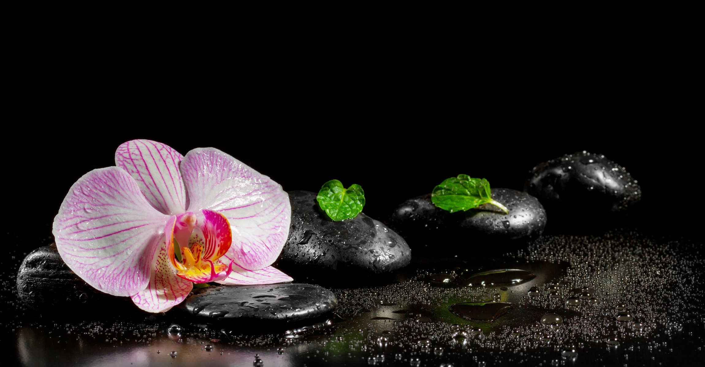 water spa stones flower orchid leave