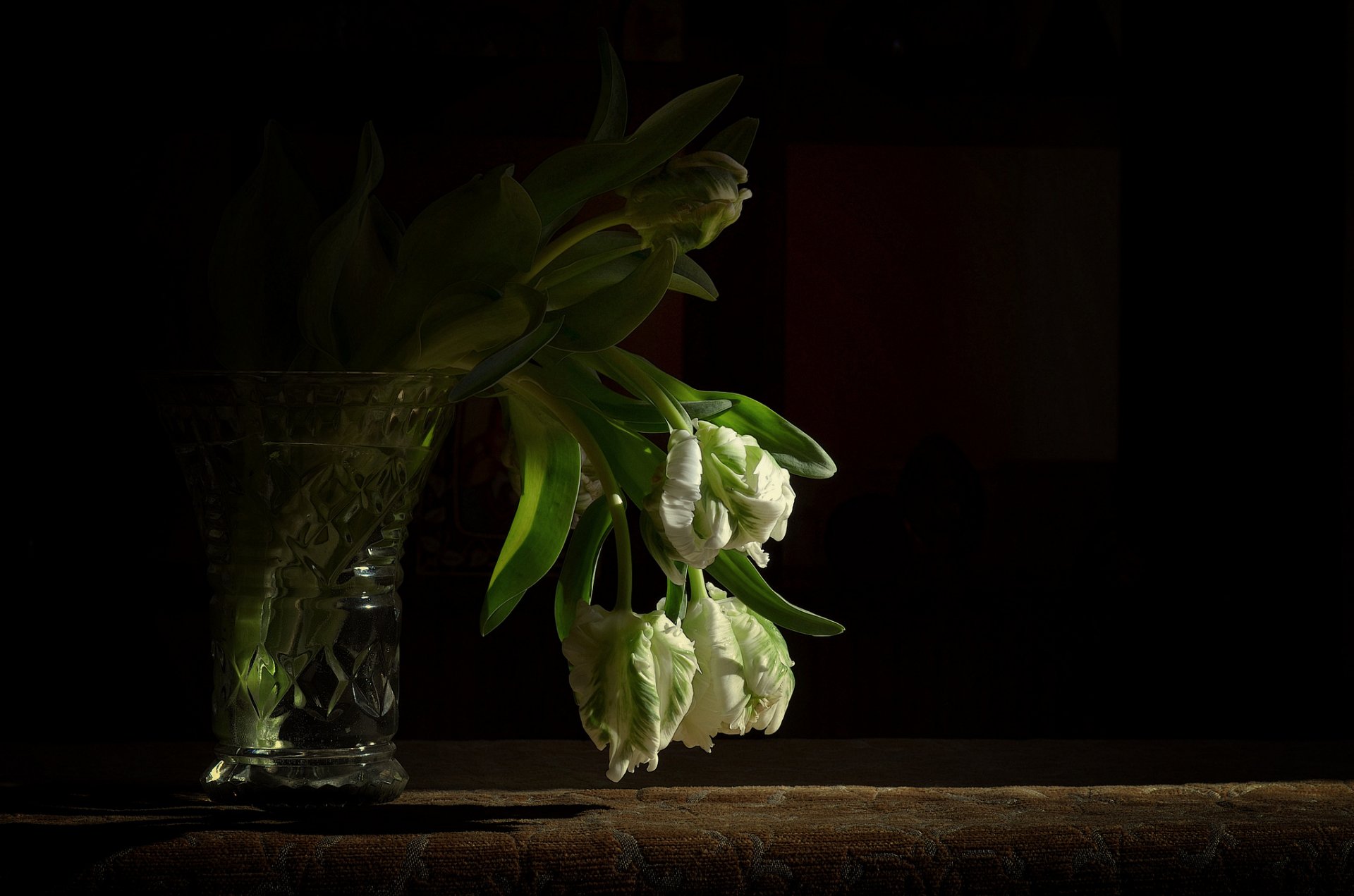 vaso bouquet tulipani bianco sfondo nero