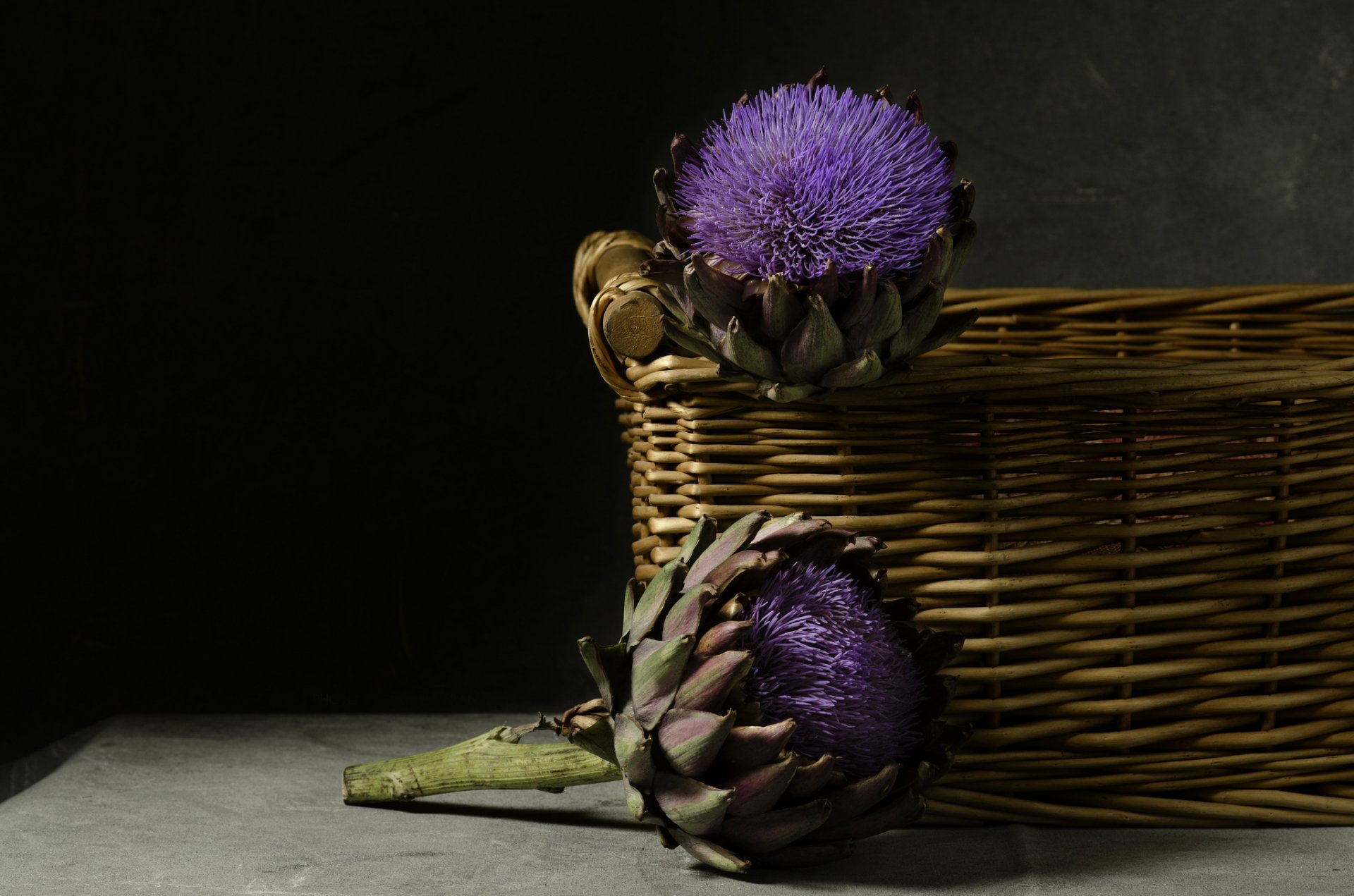cesto fiori carciofo