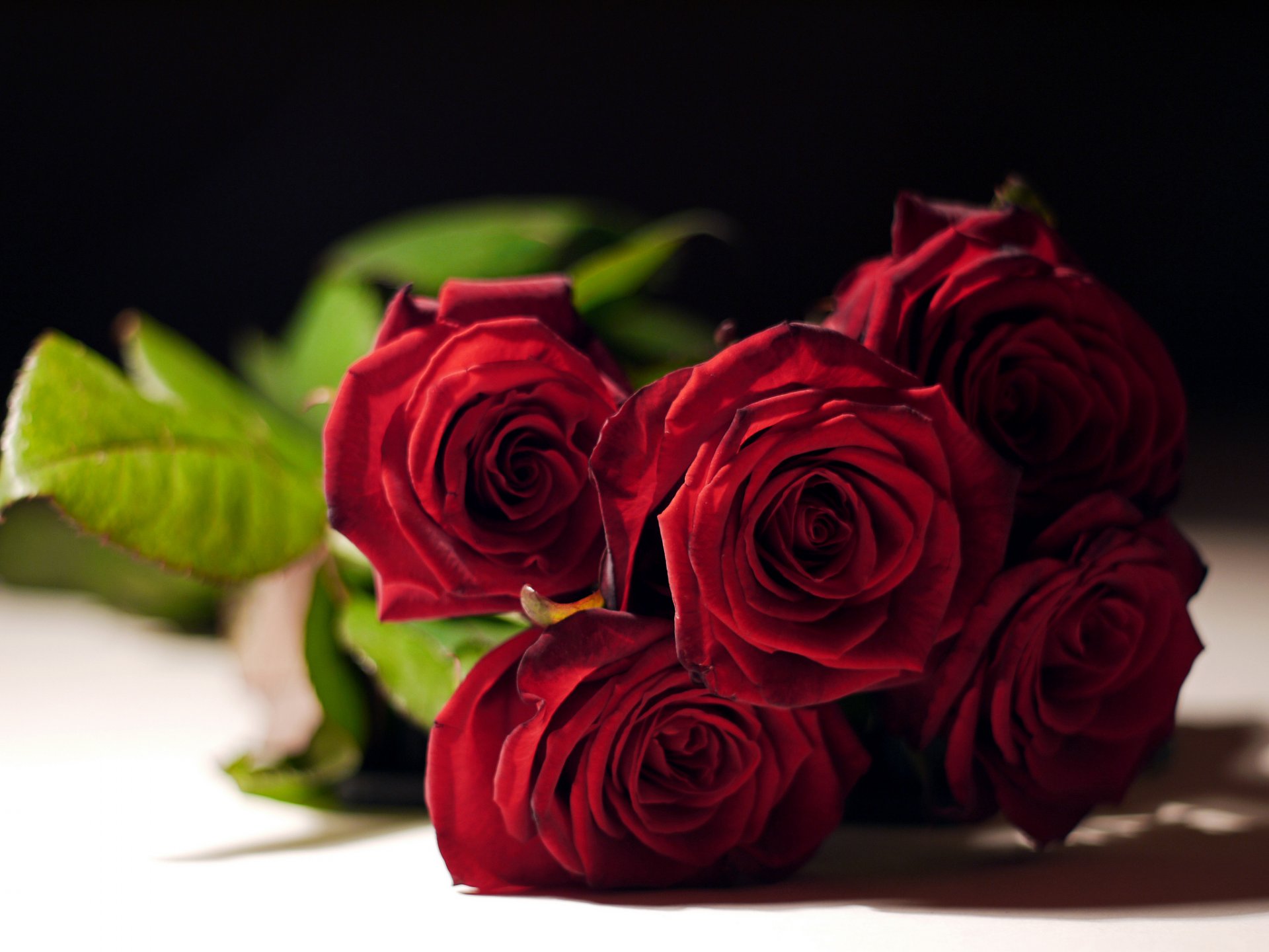 roses buds bouquet