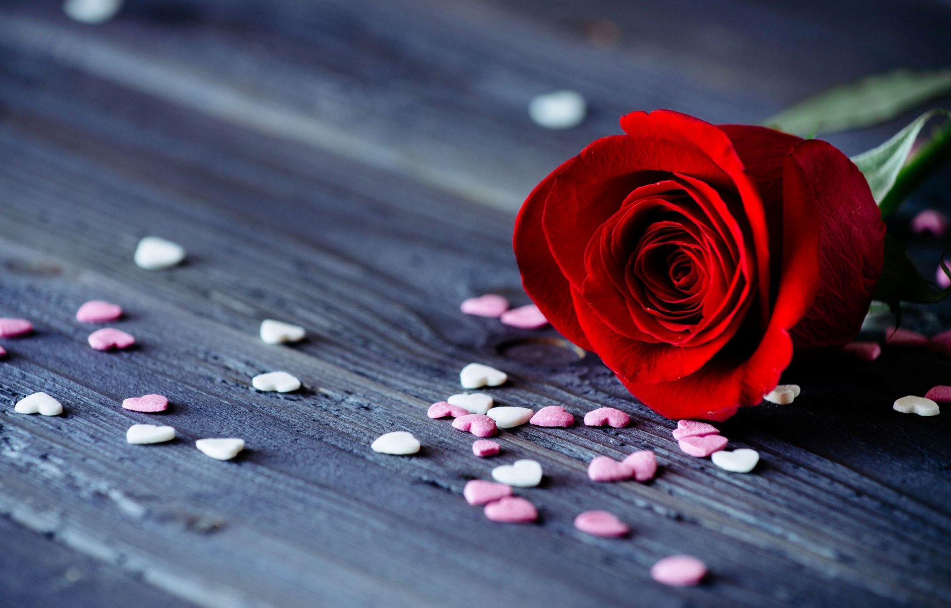 flowers flower flower rose red petals hearts date romance rose background wallpaper widescreen fullscreen widescreen widescreen