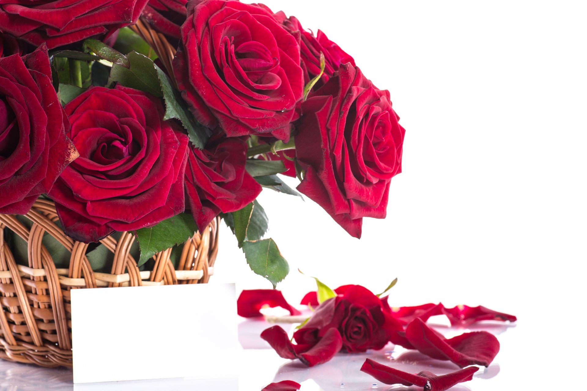 fiori rose bouquet petali rosso