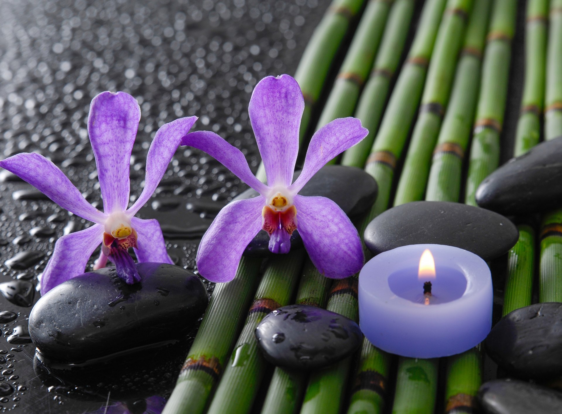 bamboo drops spa stones flower orchid
