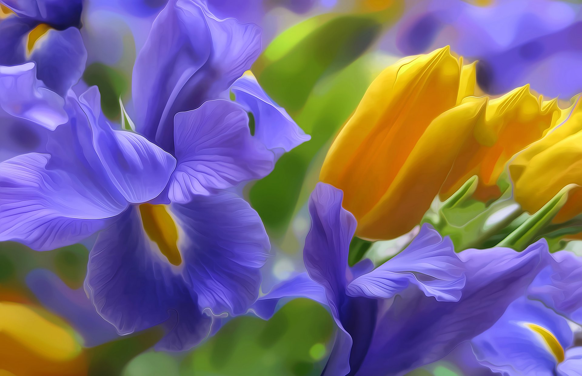 iris tulip petals light nature bed rendering picture vector
