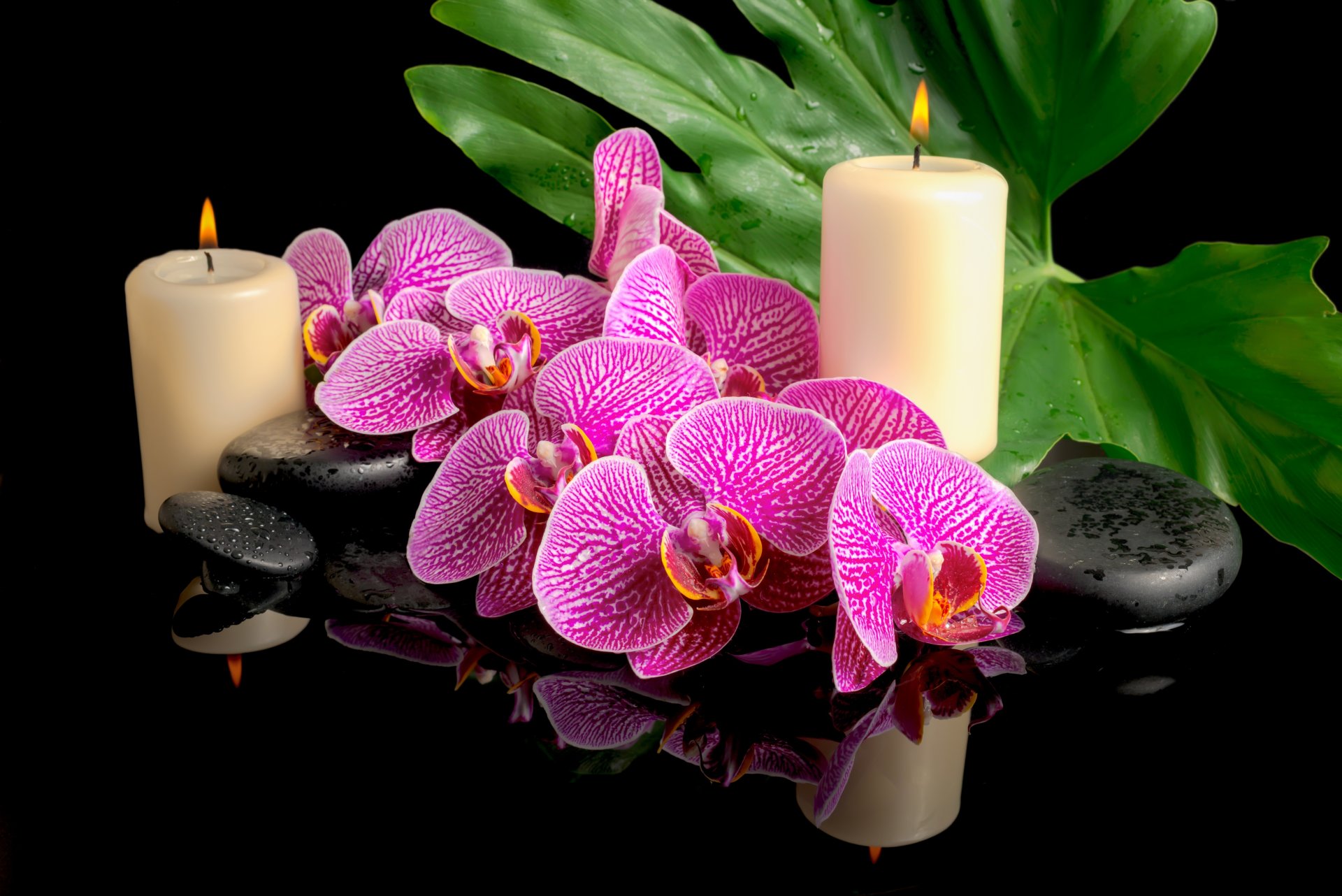 hoja flores orquídeas spa piedras velas gotas
