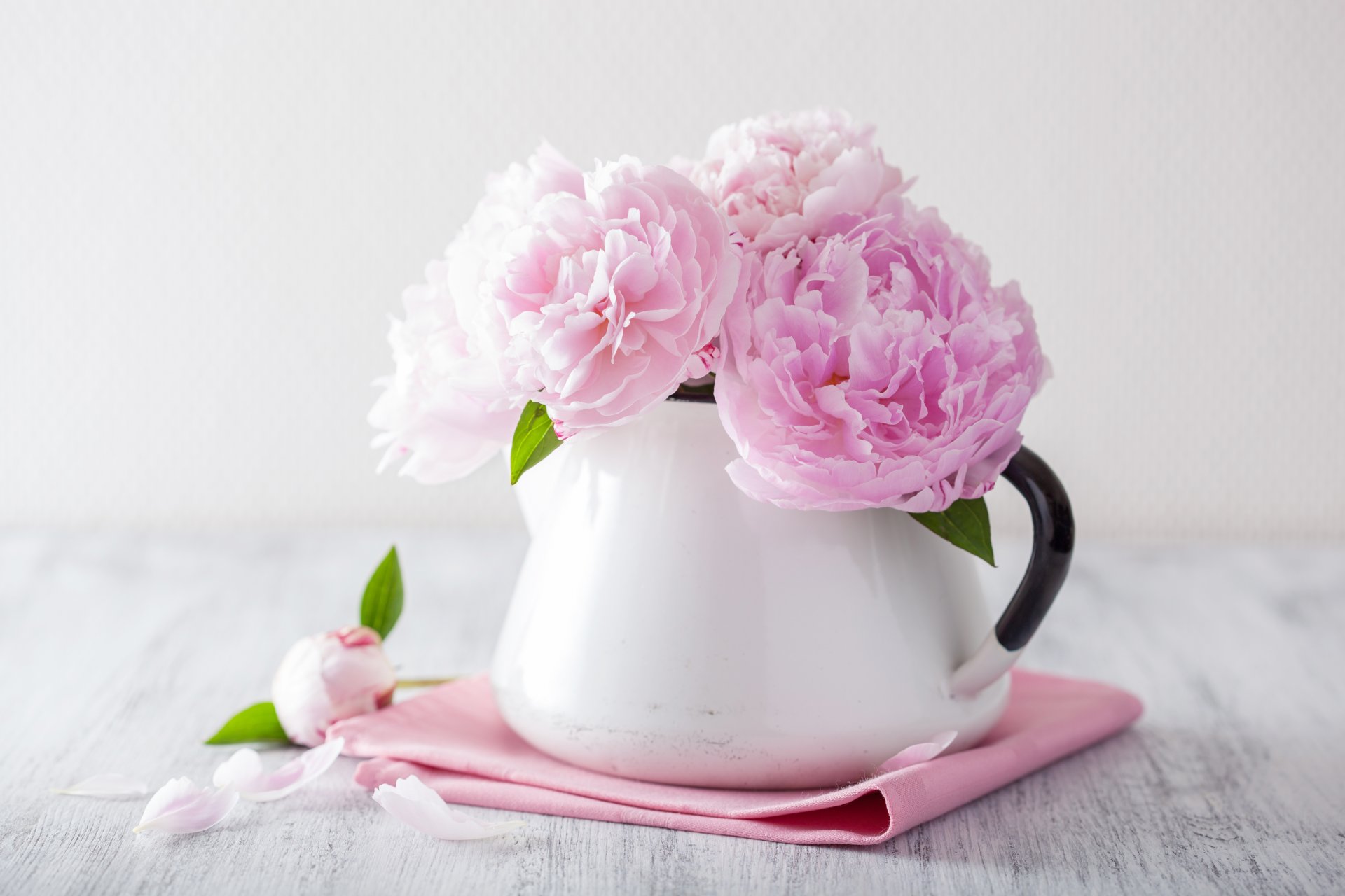 flower pink flowers petals still life