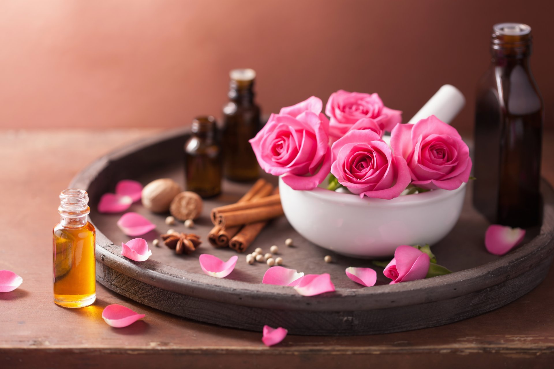 flower pink flowers petals still life roses spa
