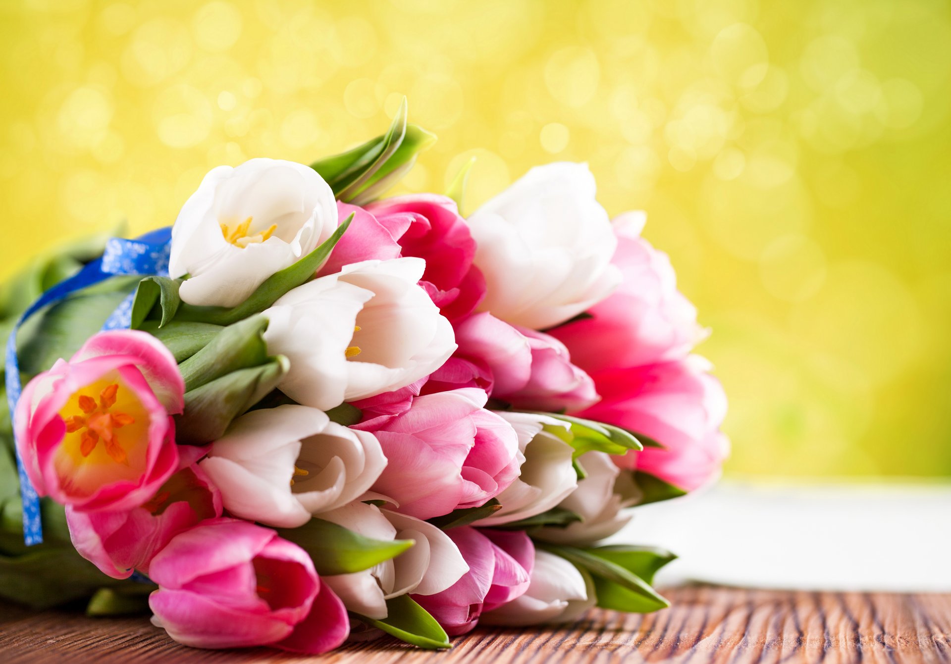 flower tulips march 8 bouquet