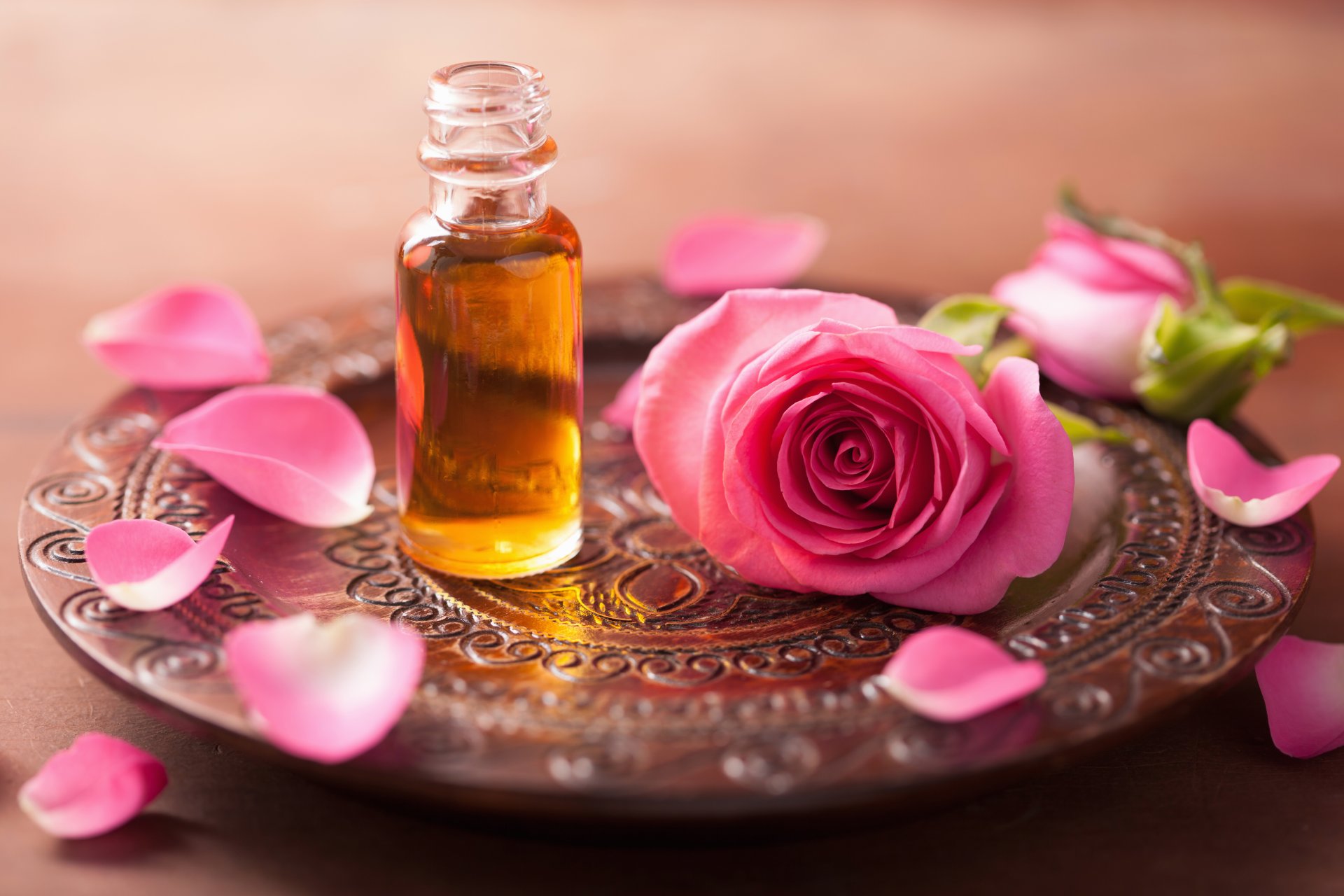 flower pink flowers petals still life roses spa