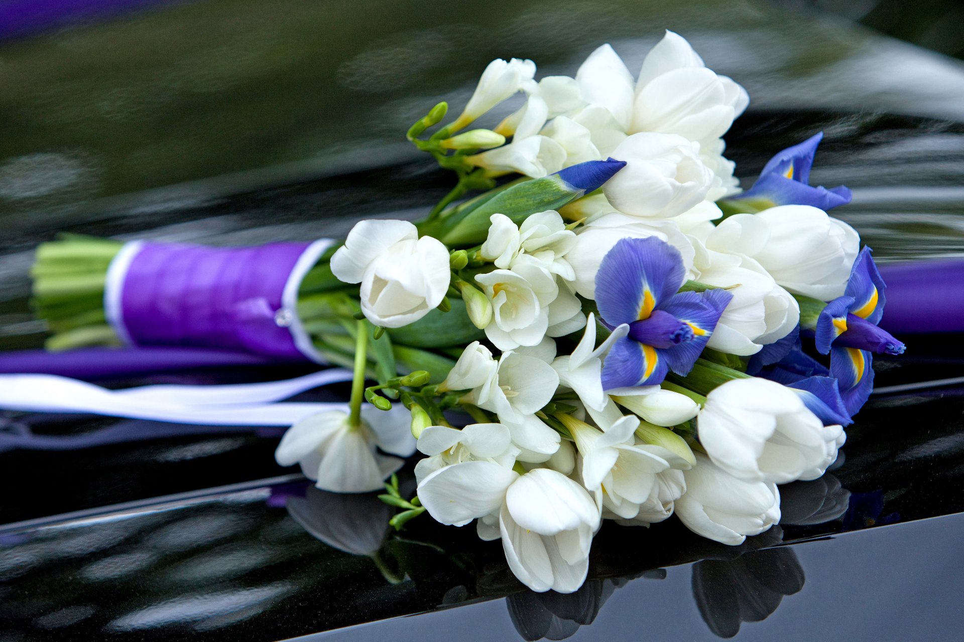 tulipani crochi iris fiori bianco viola bouquet