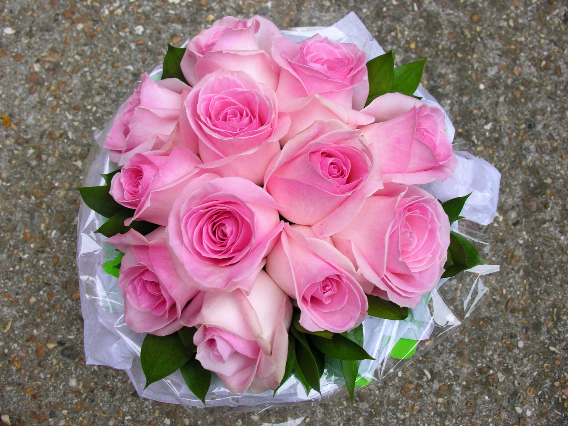 roses bouquet pink flower photo