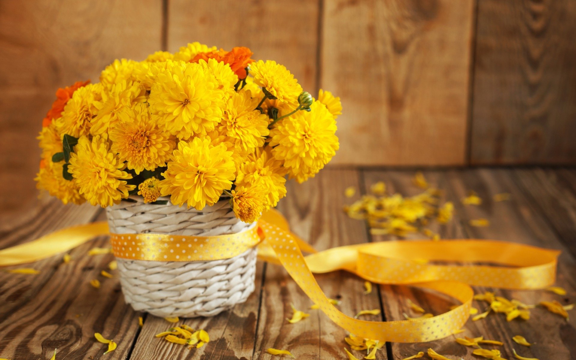 blumen blütenblätter stillleben blumenstrauß