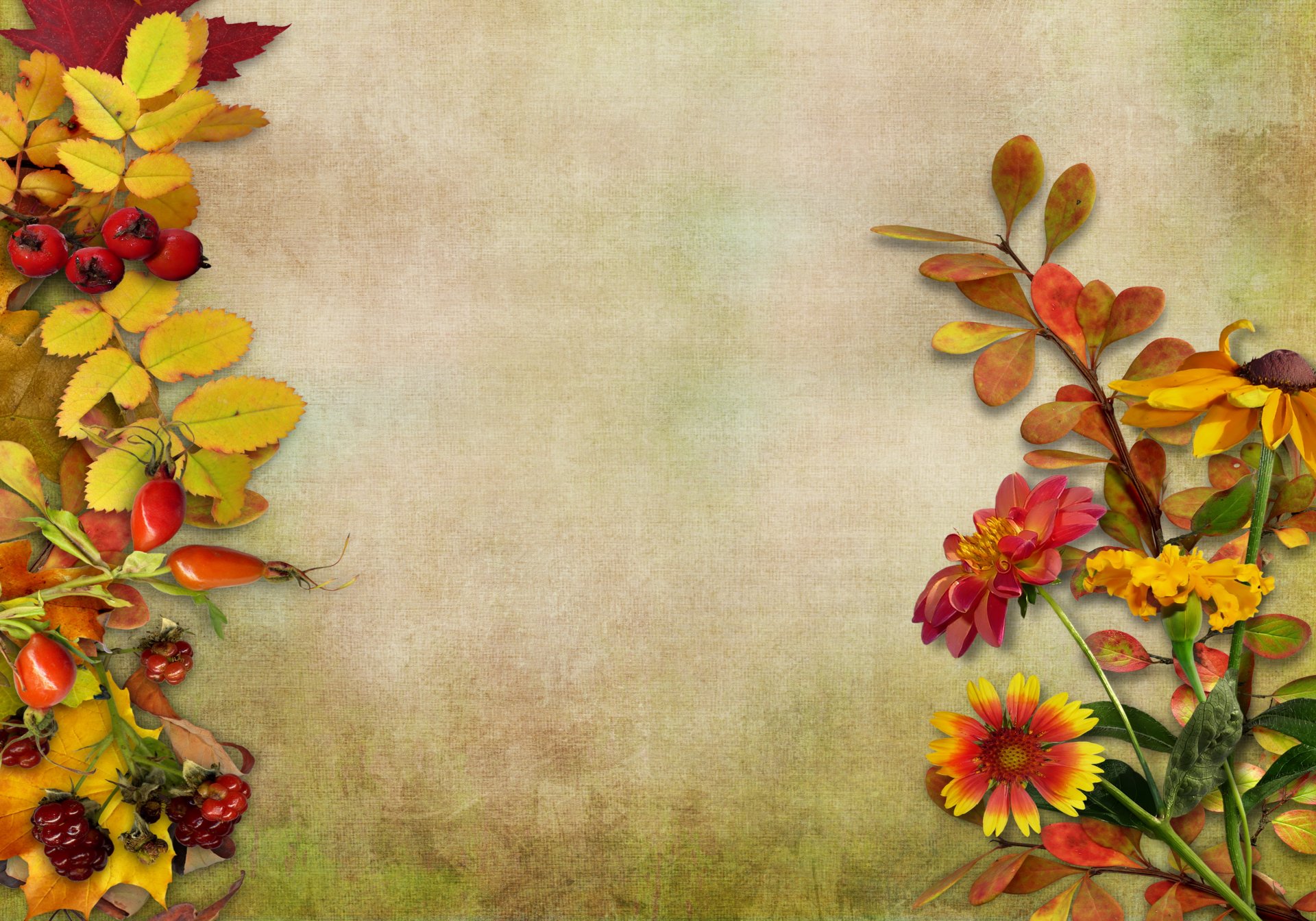 autunno vintage sfondo foglie bacche fiori