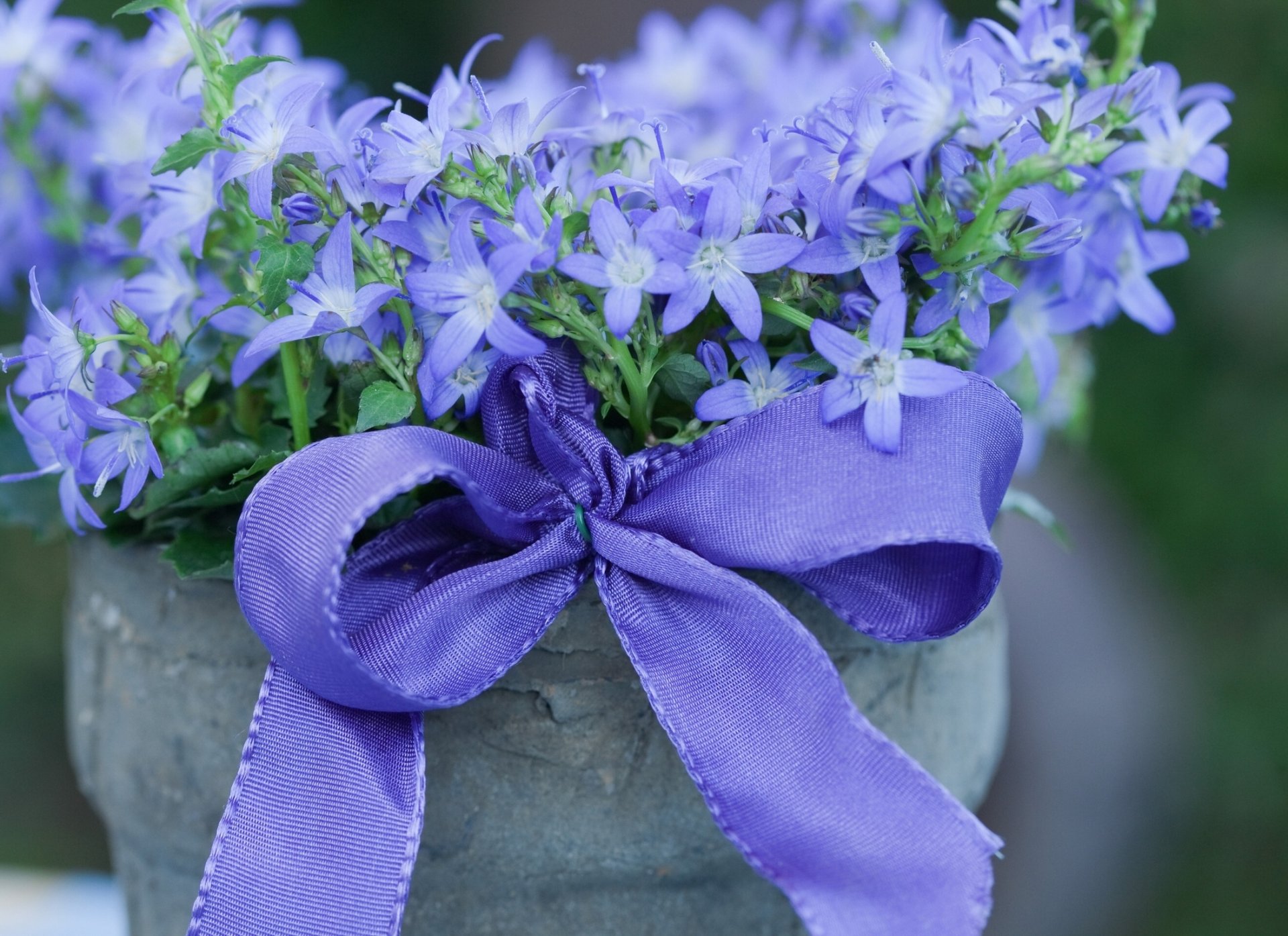 glocken band bogen blumentopf