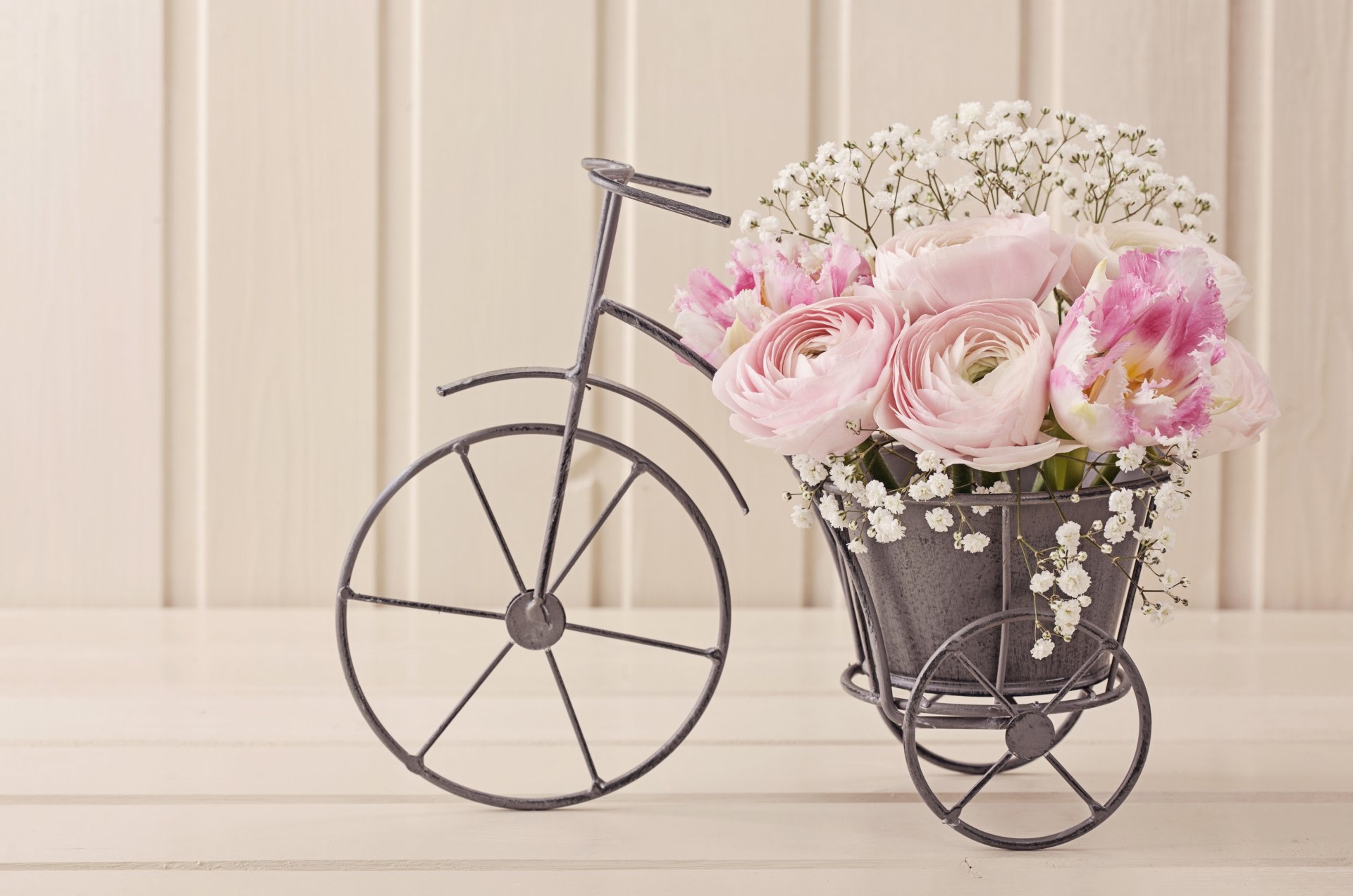 blumen blütenblätter stillleben