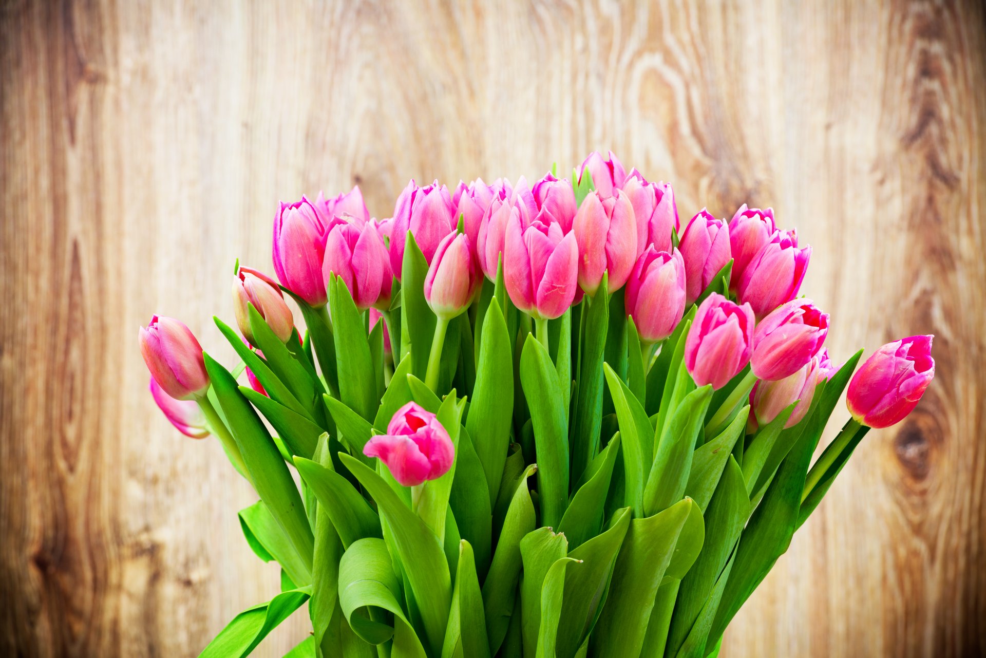 fond fleurs bouquet tulipes roses beauté