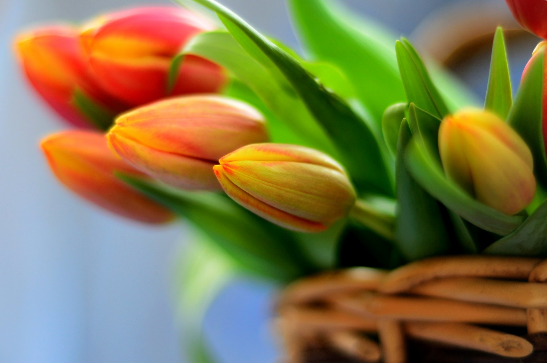 flowers bouquet basket tulip