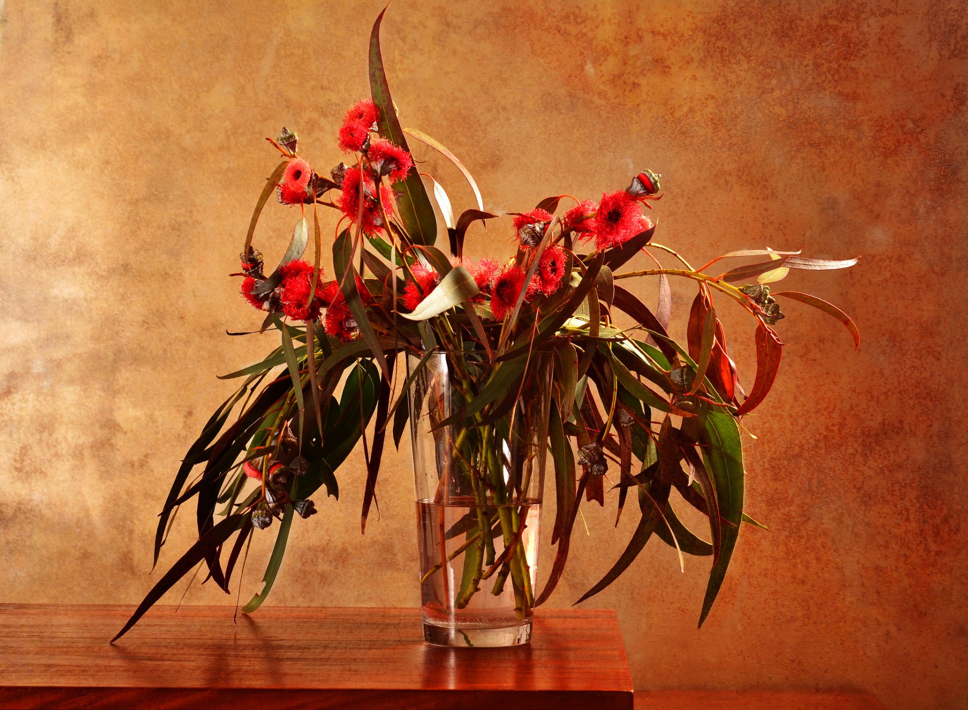 tisch vase glas wasser zweige blätter blumen eukalyptus