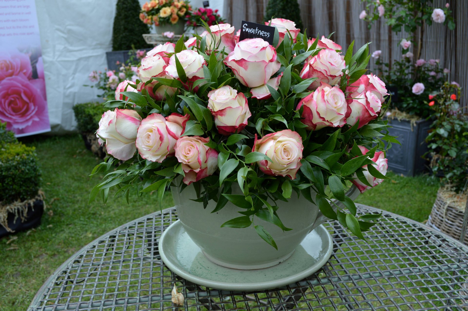 taza flores ramo rosas rosa