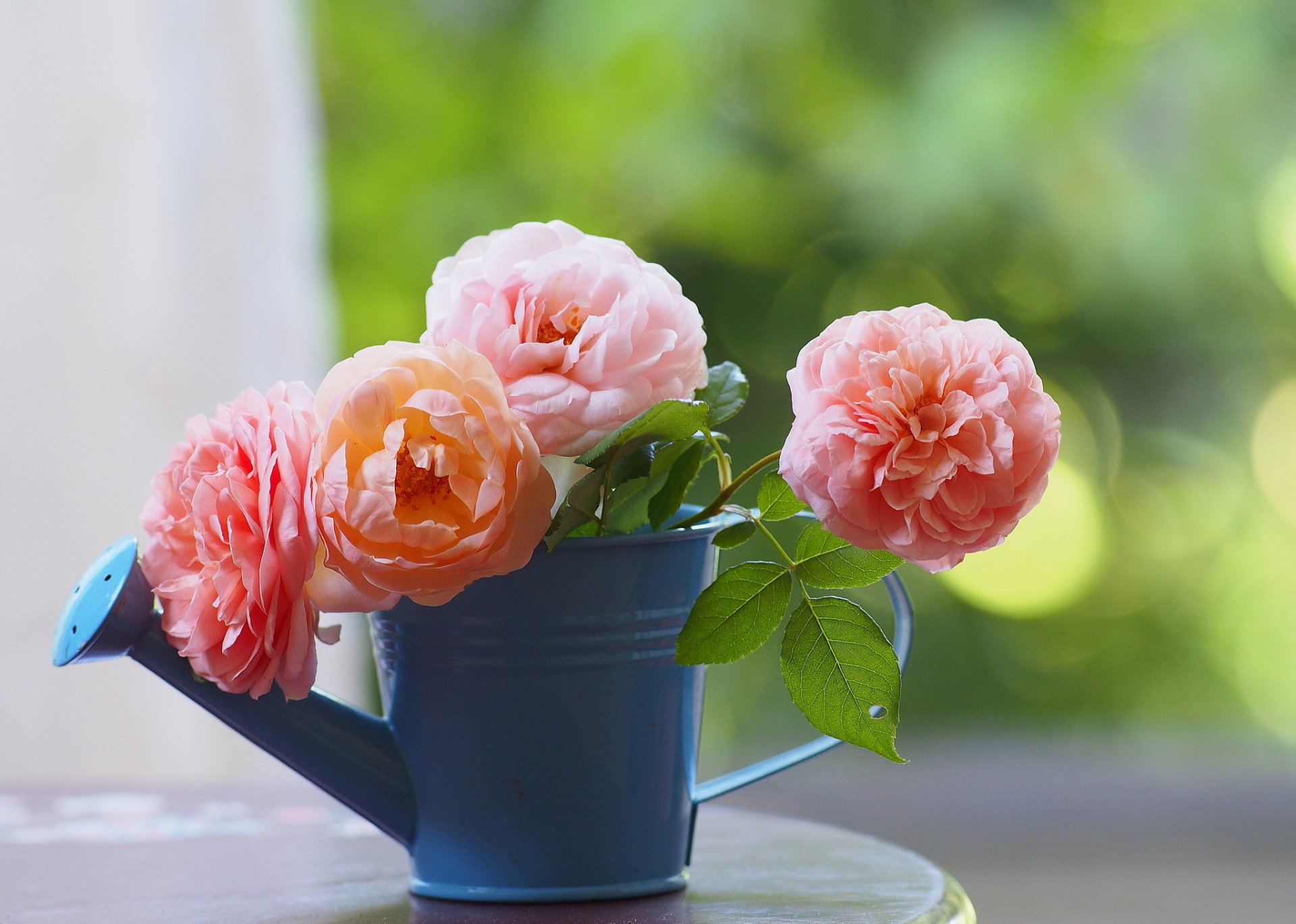 mesa regadera flores rosas rosas