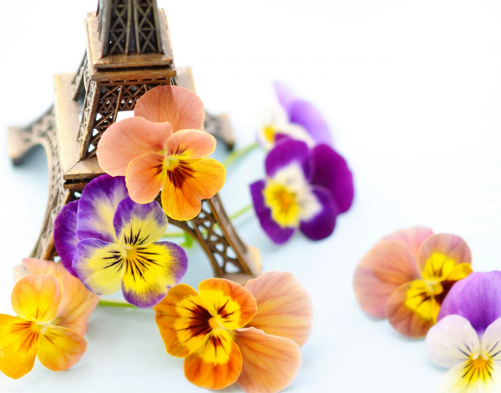 fiori violette statuetta francia parigi torre eiffel