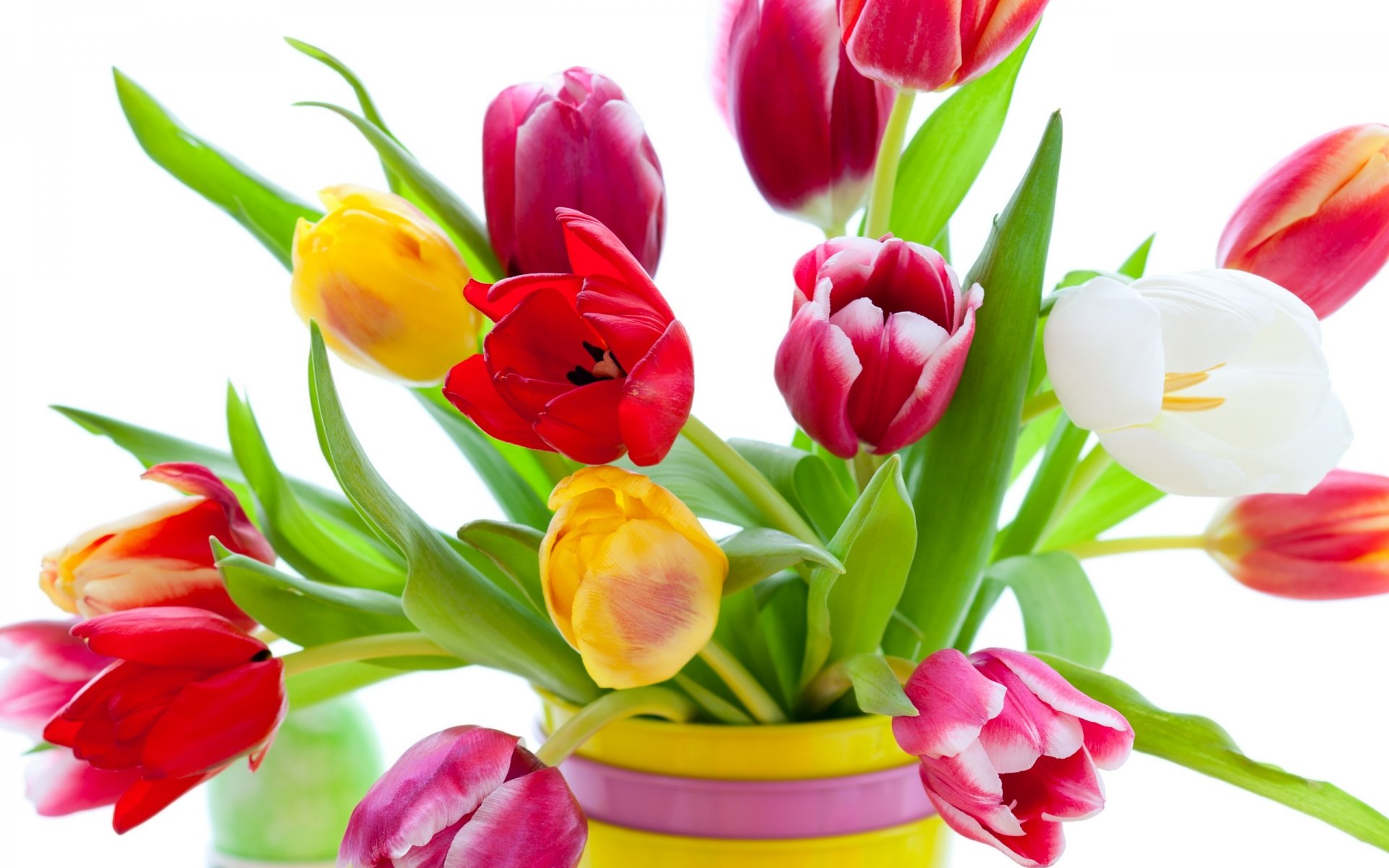 tulips flowers bright bouquet yellow red white pink petals vase beauty bright multicolored pink white