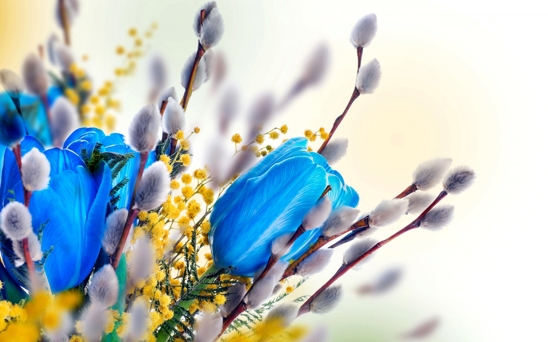 primavera bouquet tulipano salice mimosa rendering