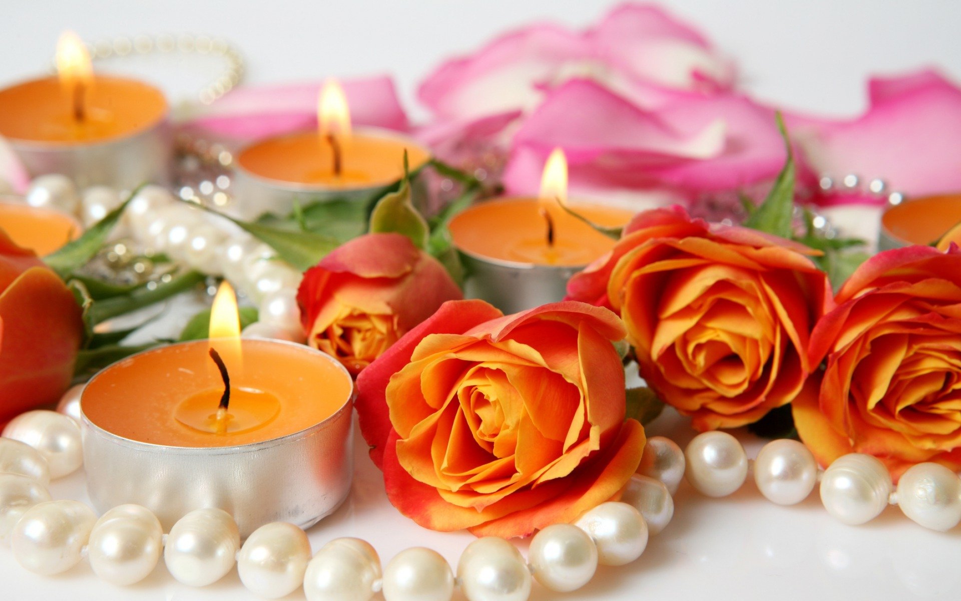 fleurs roses bougies pétales