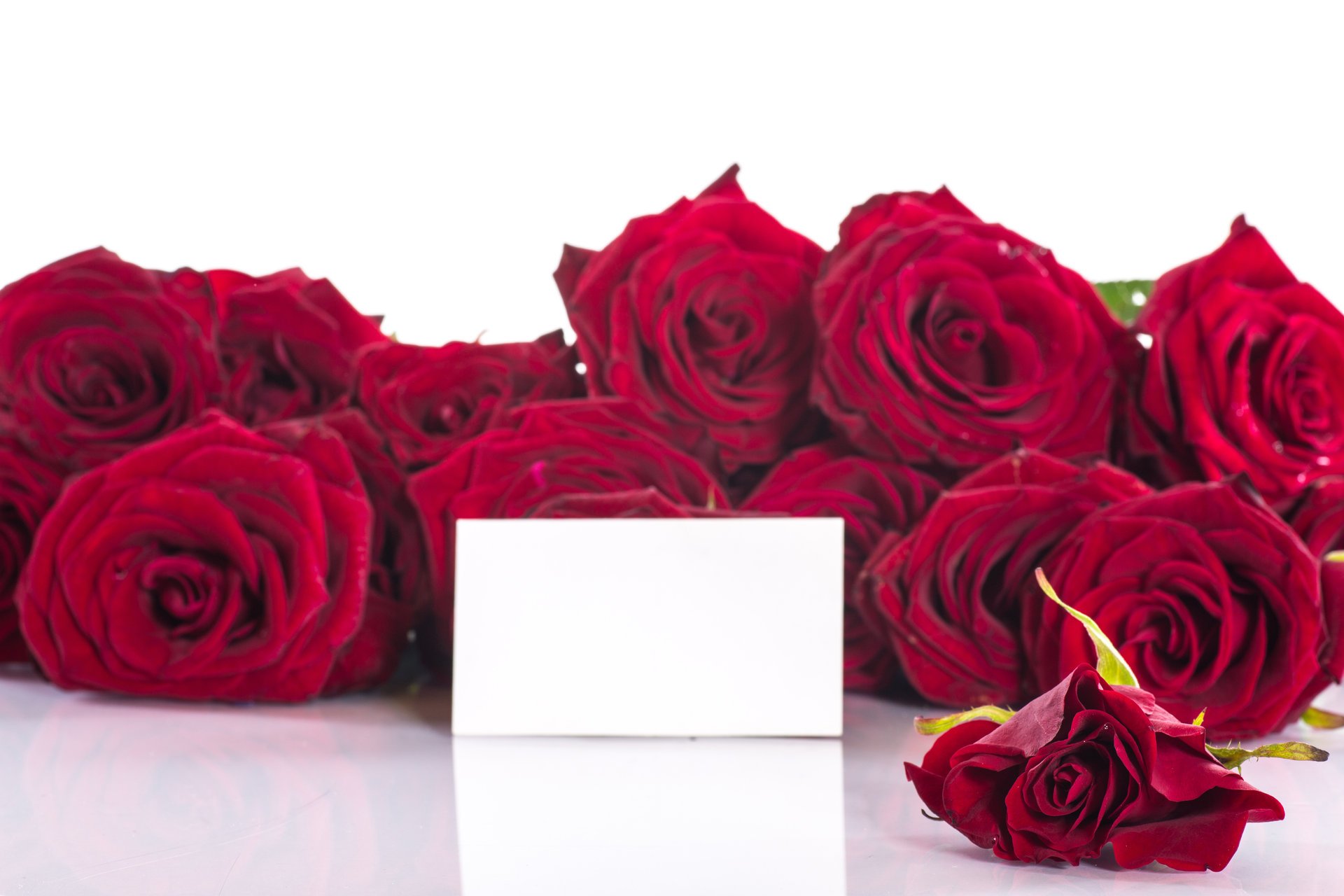 blumen rosen blumenstrauß blütenblätter rot