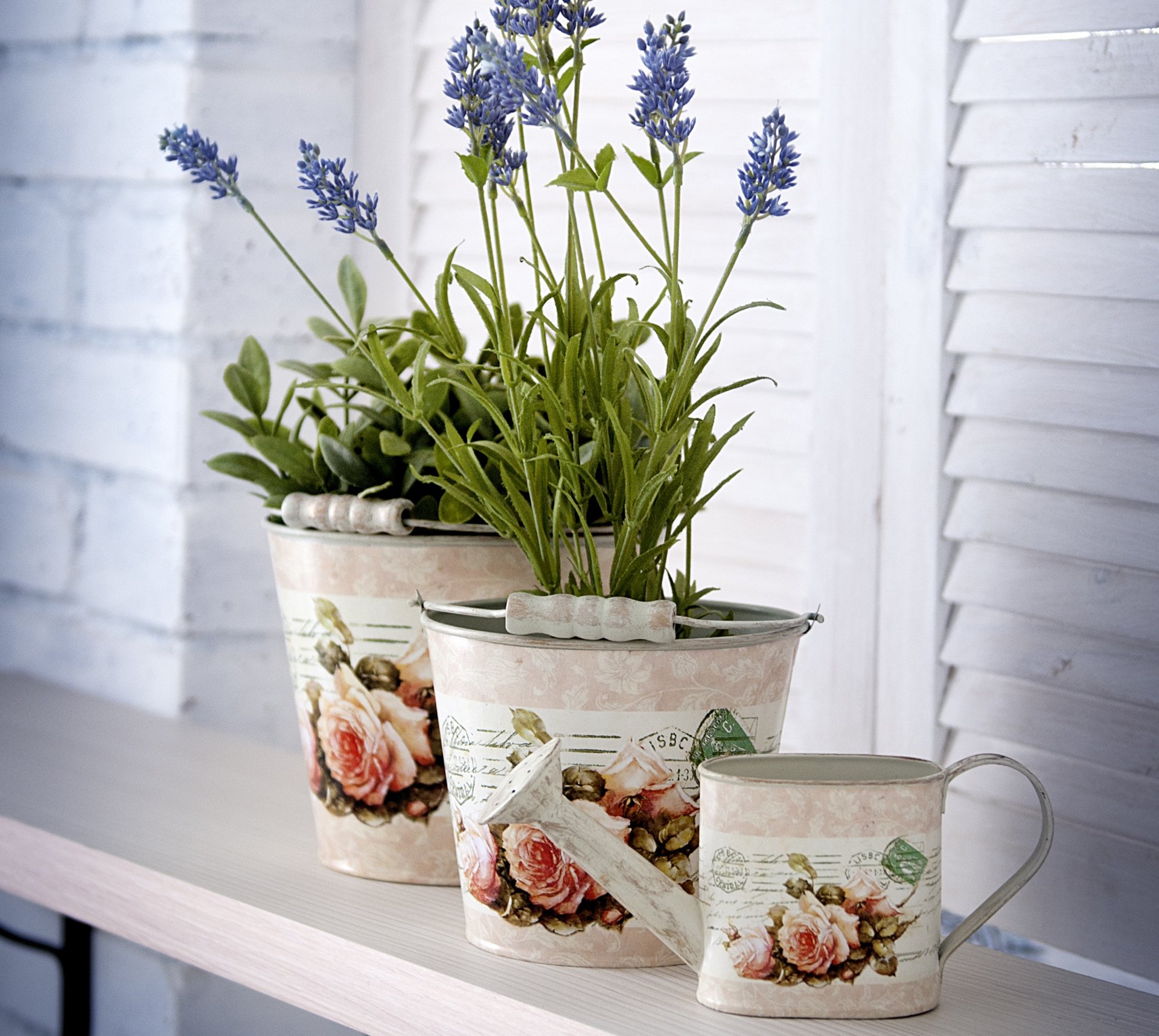 fiori natura morta fiori viola lavanda