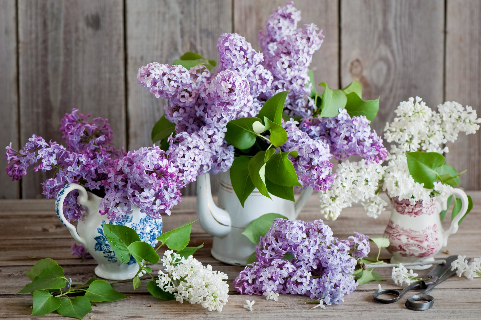 blumen blumenstrauß flieder